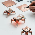 من الورق إلى الحياة