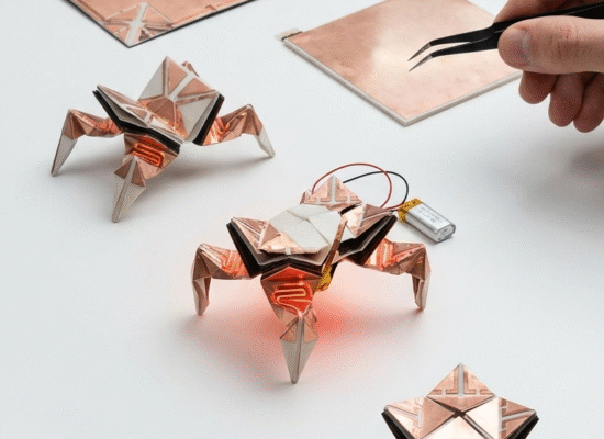 من الورق إلى الحياة